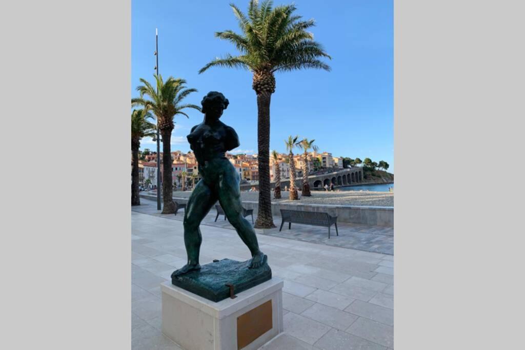 Attique A Banyuls - Vue Mer Et Montagne Екстер'єр фото