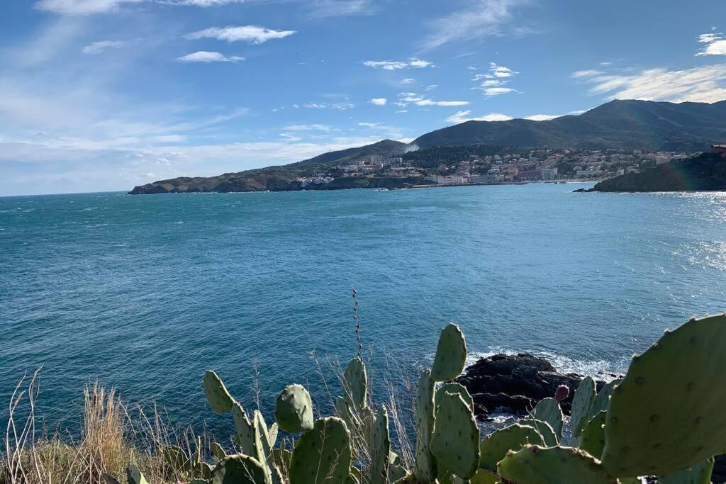 Attique A Banyuls - Vue Mer Et Montagne Екстер'єр фото