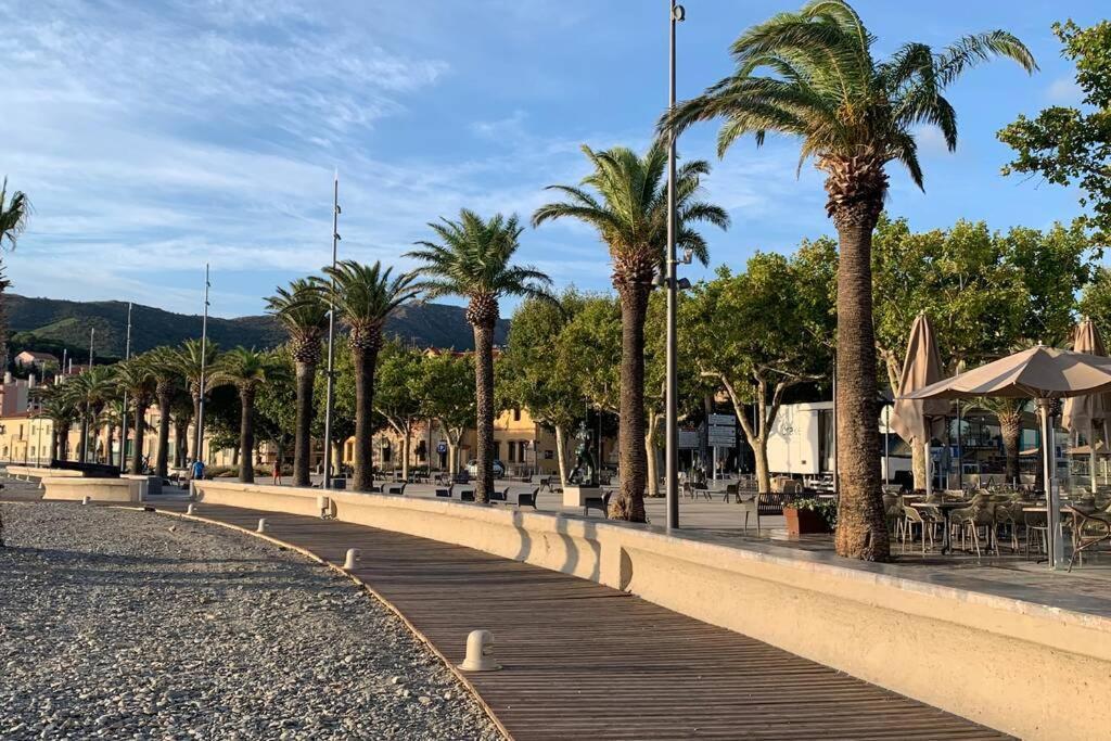 Attique A Banyuls - Vue Mer Et Montagne Екстер'єр фото
